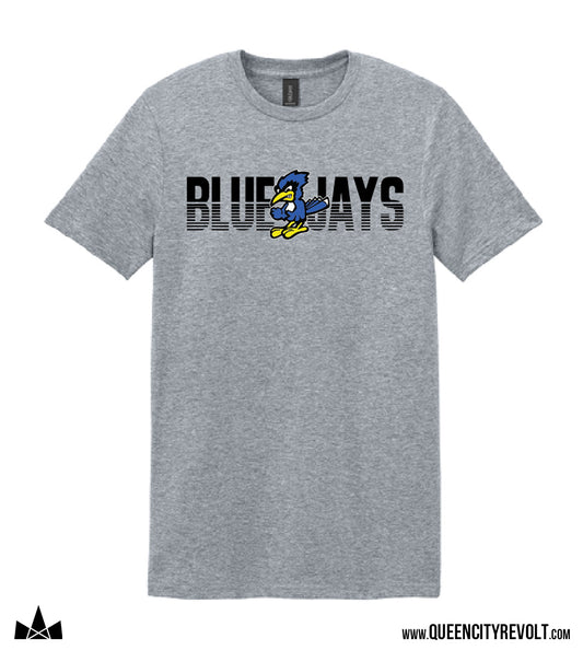 STJB Dry Ridge, Adult Tshirt, Grey
