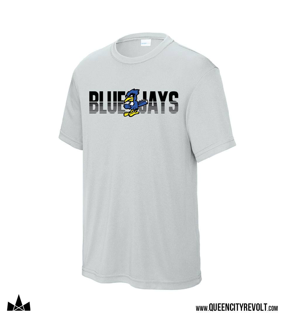 STJB Dry Ridge Youth Performance Tshirt, Grey – Queen City Revolt